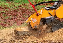 Best Lawn Irrigation Installation and Maintenance  in Midway South, TX